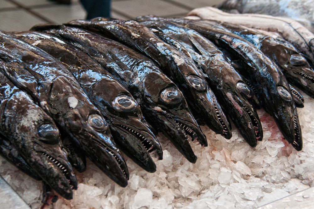 625_Madera_Funchal - targ Mercado dos Lavradores.jpg